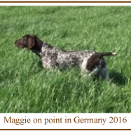 Maggie_Point_Germany_2016